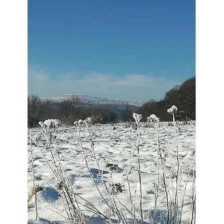 With A View Of The Brocken *