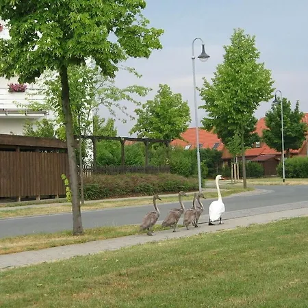 With A View Of The Brocken * Wernigerode